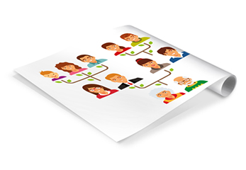 Stammbaum auf Posterpapier Eine gedruckte Ahnentafel auf einer Papierrolle